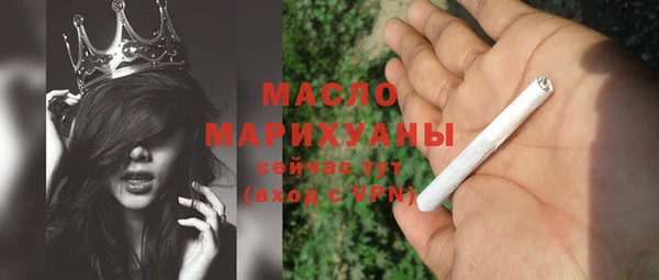 гидра Елизово