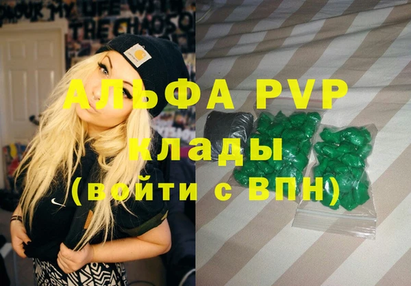 мдпв Ельня