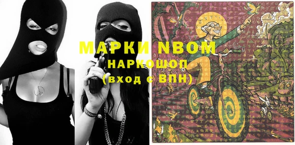 ПСИЛОЦИБИНОВЫЕ ГРИБЫ Дмитриев