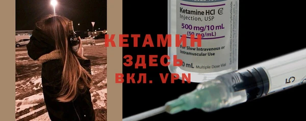 ПСИЛОЦИБИНОВЫЕ ГРИБЫ Дмитриев