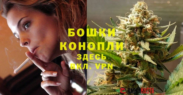 твердый Дмитров
