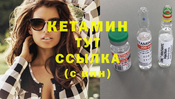 мдпв Ельня