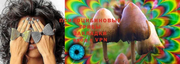ПСИЛОЦИБИНОВЫЕ ГРИБЫ Дмитриев