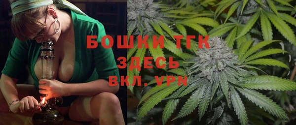 мдпв Ельня